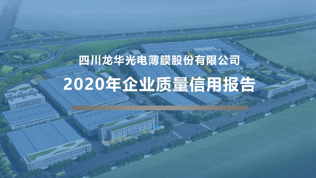 2020年企業(yè)質(zhì)量信用報告